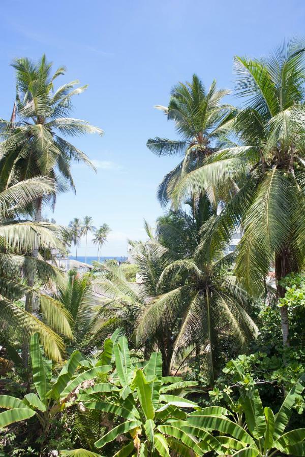 Alvas House Hotell Hikkaduwa Eksteriør bilde