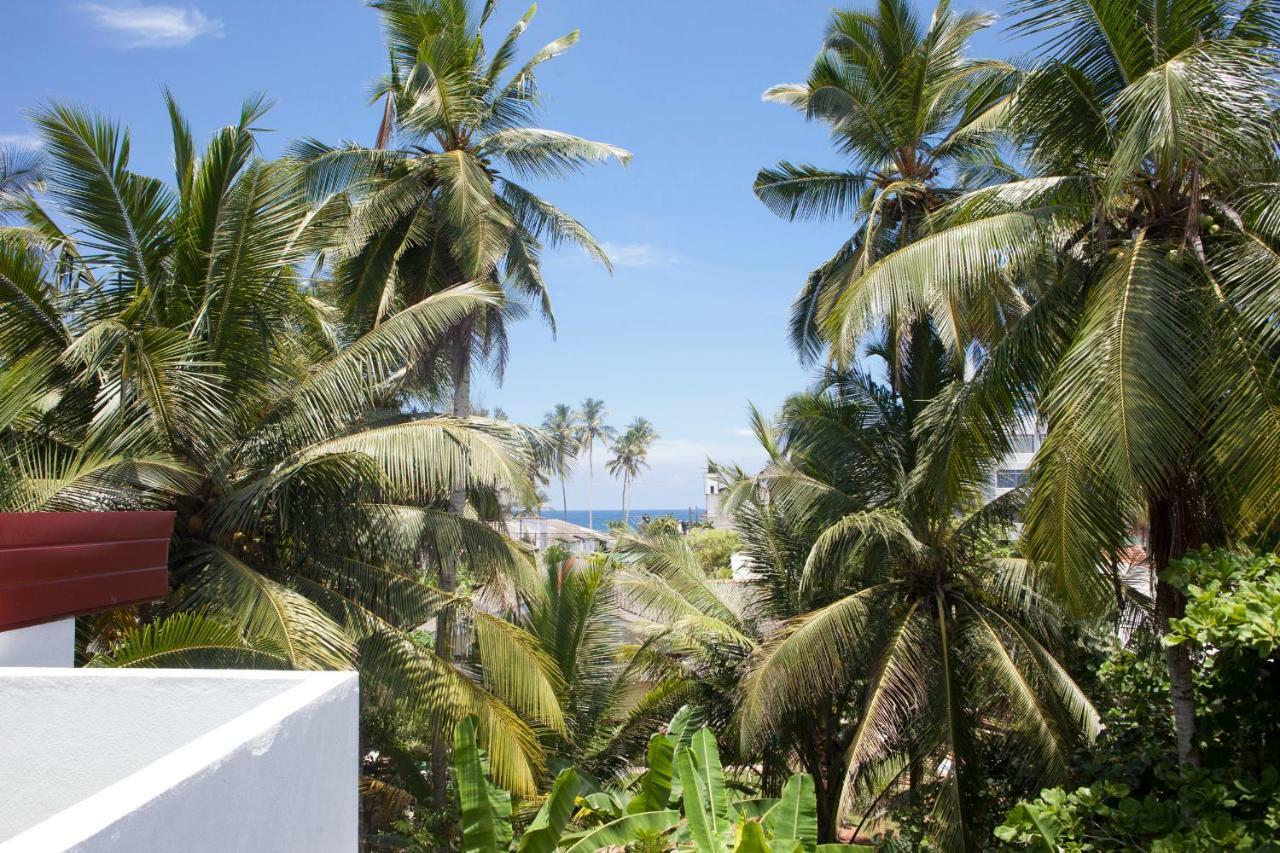 Alvas House Hotell Hikkaduwa Eksteriør bilde